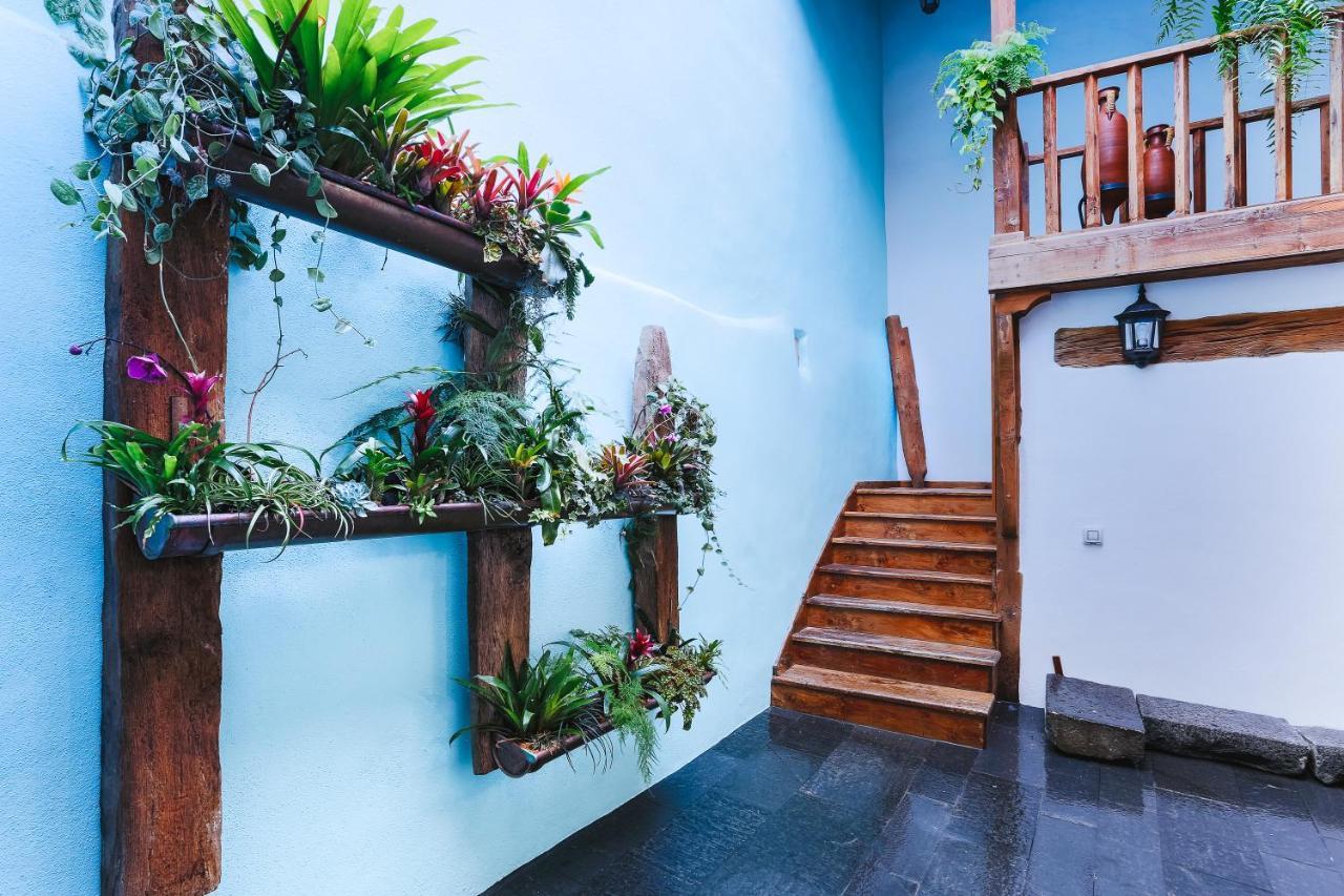 Casa Emblematica Salgado Daire Santa Cruz de la Palma  Dış mekan fotoğraf